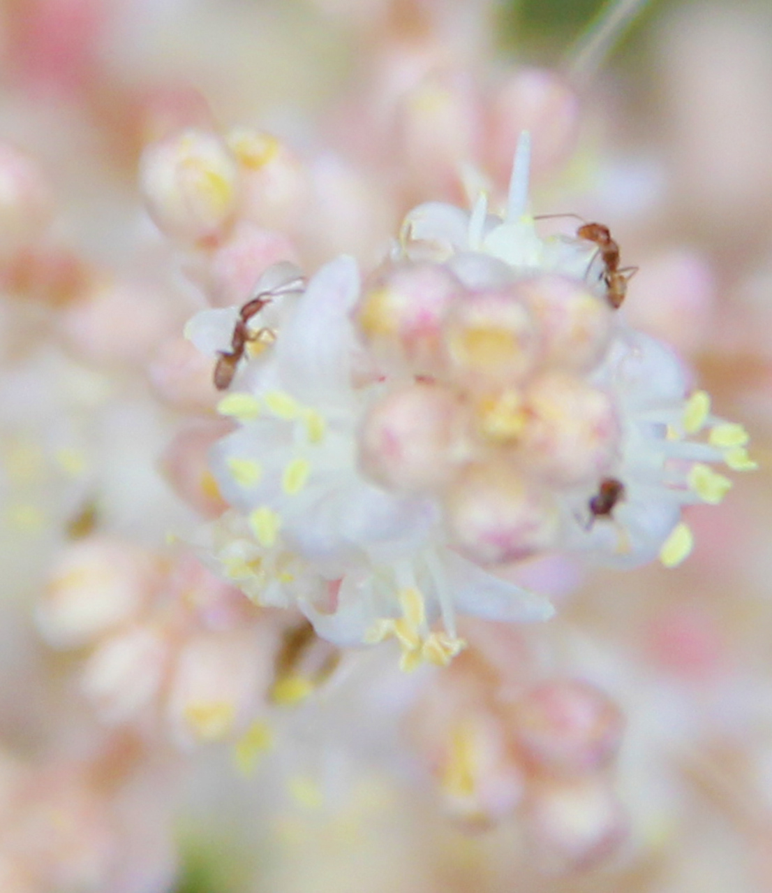 London Art Galleries Free Exhibition 2021