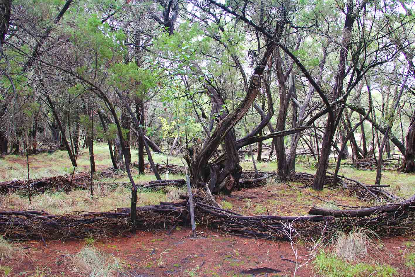 London Best Art Galleries