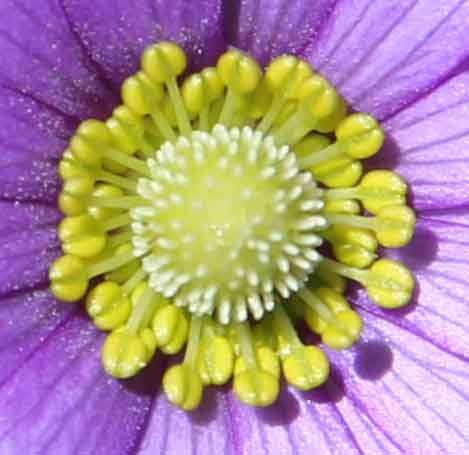 London Best Art Galleries